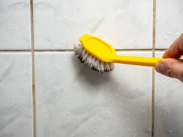 Home Mold Removal in Germantown, MD