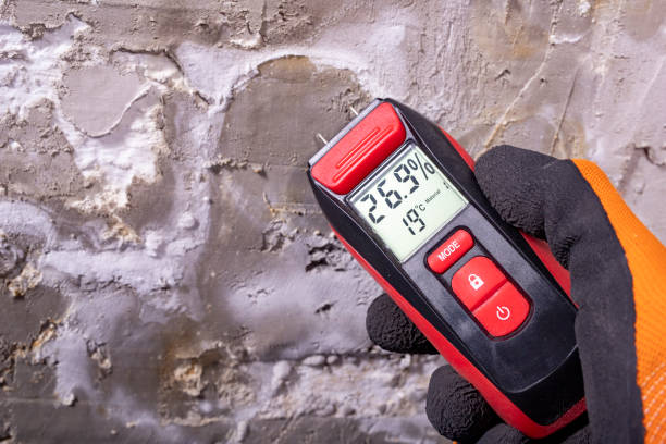 Best Crawl Space Mold Removal  in Germantown, MD